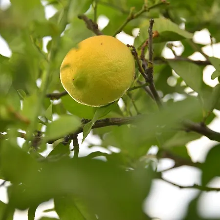 Isabelita Dom wakacyjny *