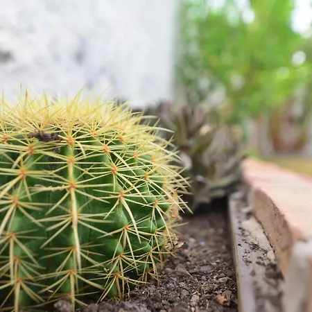 Dom wakacyjny Isabelita