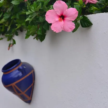 Vakantiehuis Isabelita Torremolinos