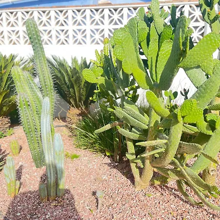 Dom wakacyjny Isabelita Torremolinos