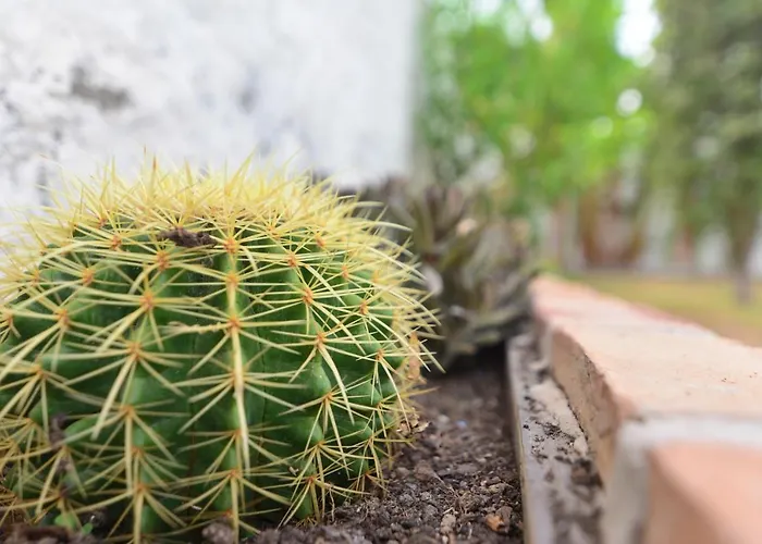 Hébergement de vacances Isabelita