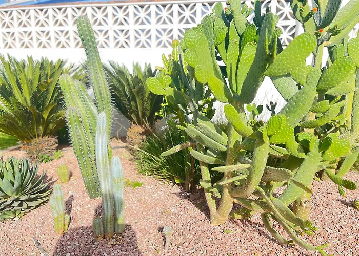 Hébergement de vacances Isabelita Torremolinos