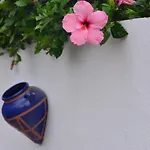 펜션 Isabelita 토레몰리노스