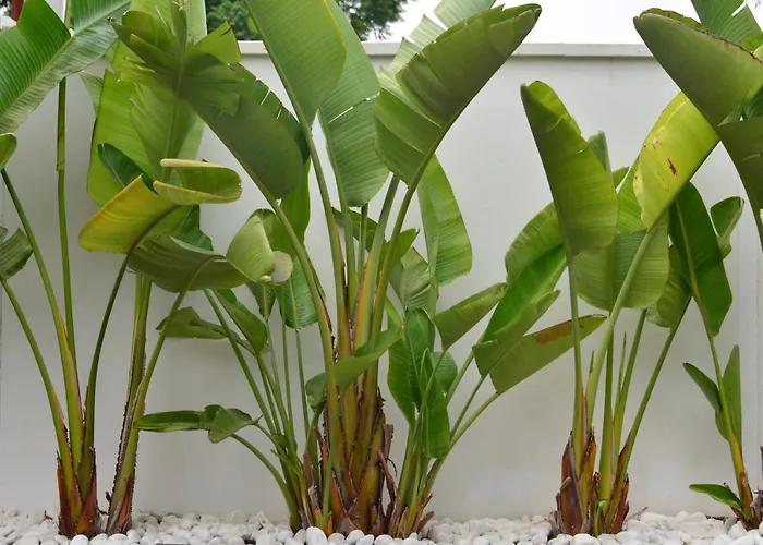 Isabelita Holiday home *