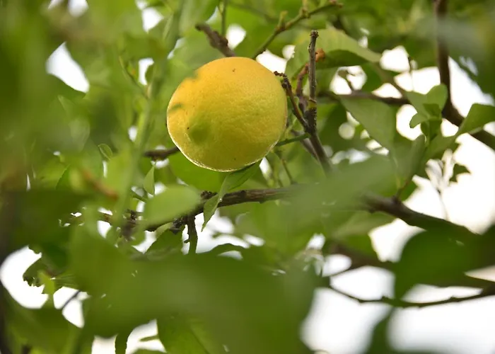 Isabelita Semesterbostad *